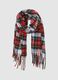 Multicolour Checked Scarf with Fringes_1