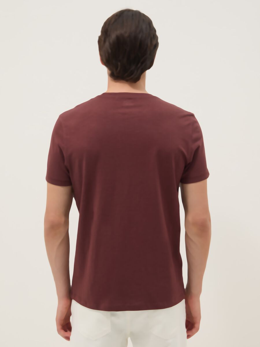 Brown pure cotton short sleeve t-shirt regular fit_3