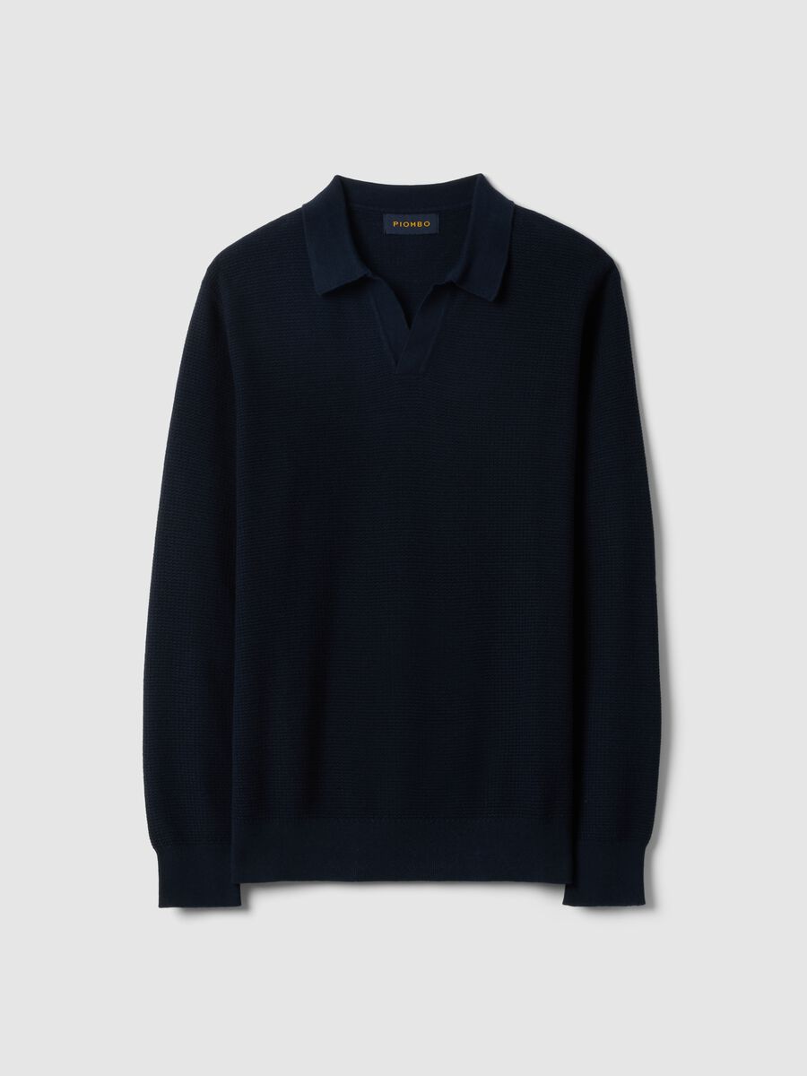 Regular fit blue pure cotton pullover with polo collar_4