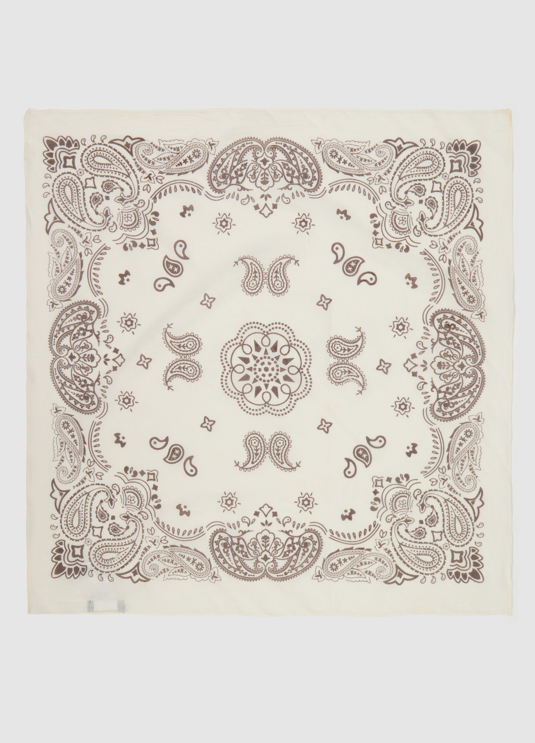 Cotton pashmina with bandana print