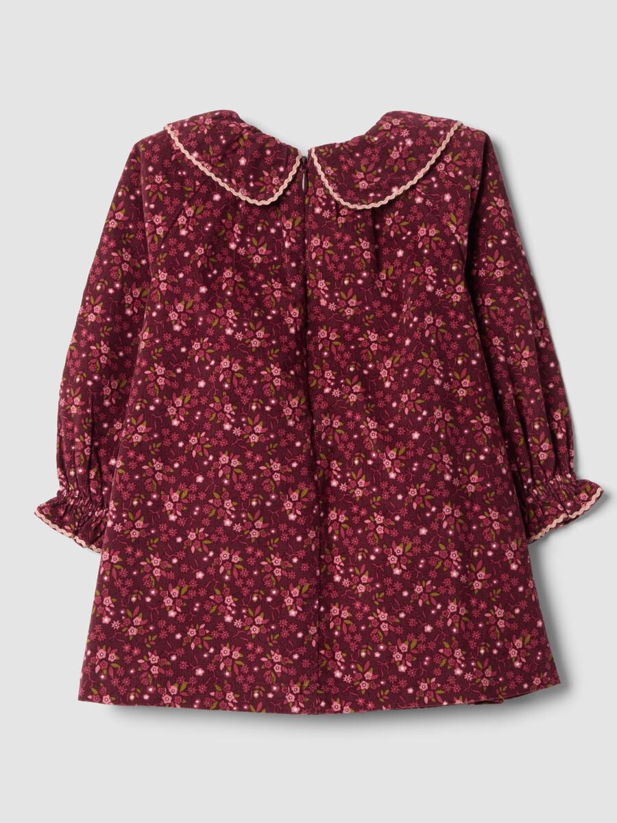 Abito girocollo rosso bordeaux in puro cotone a fiori regular fit_1