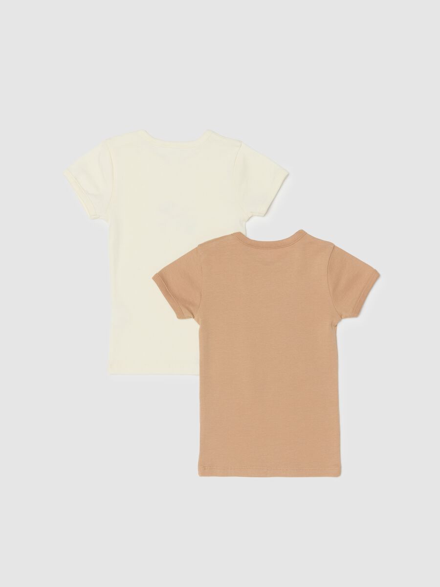 Baby's multicolour t-shirt twin pack in pure cotton regular fit_1