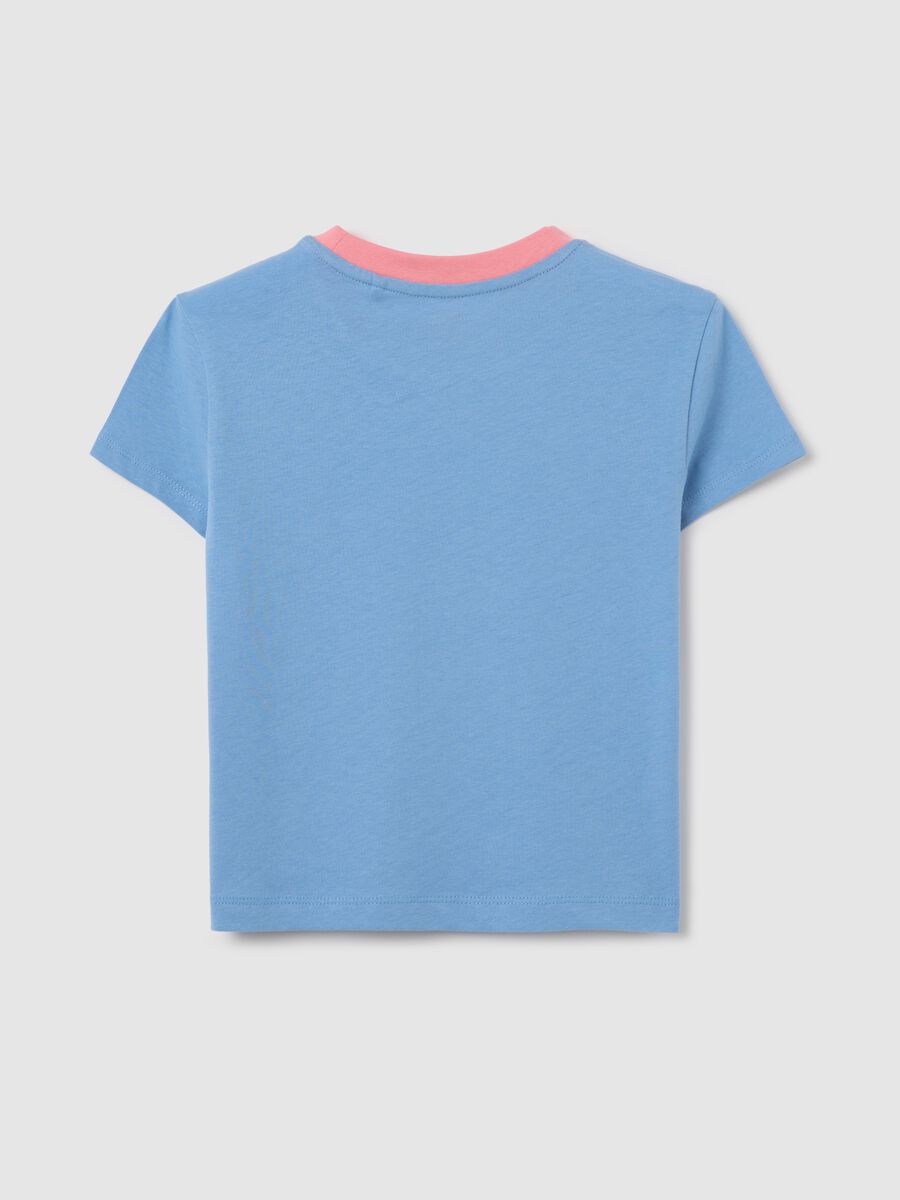 T-shirt azzurra stampa "Venice Beach"_4