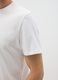 White pure cotton regular fit t-shirt_2