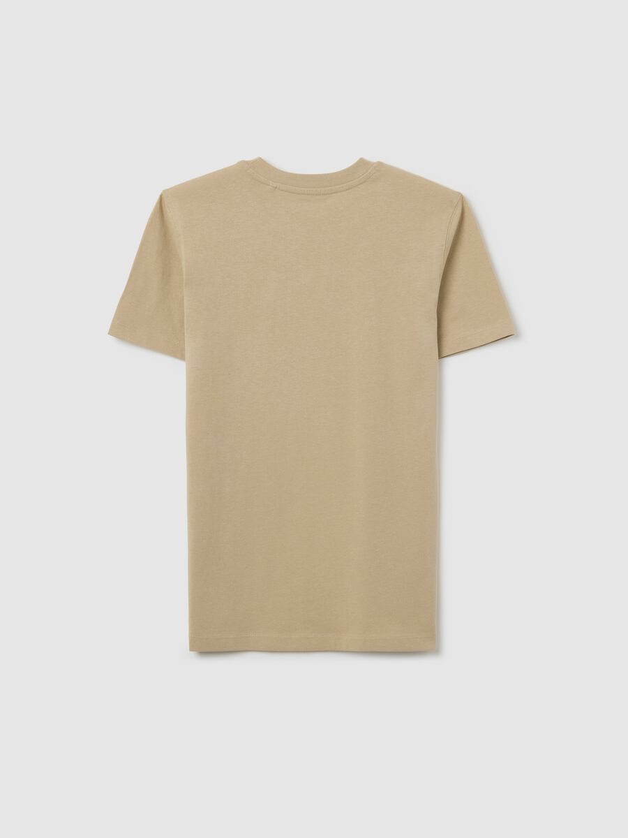 Beige cotton T-shirt with lettering print_2
