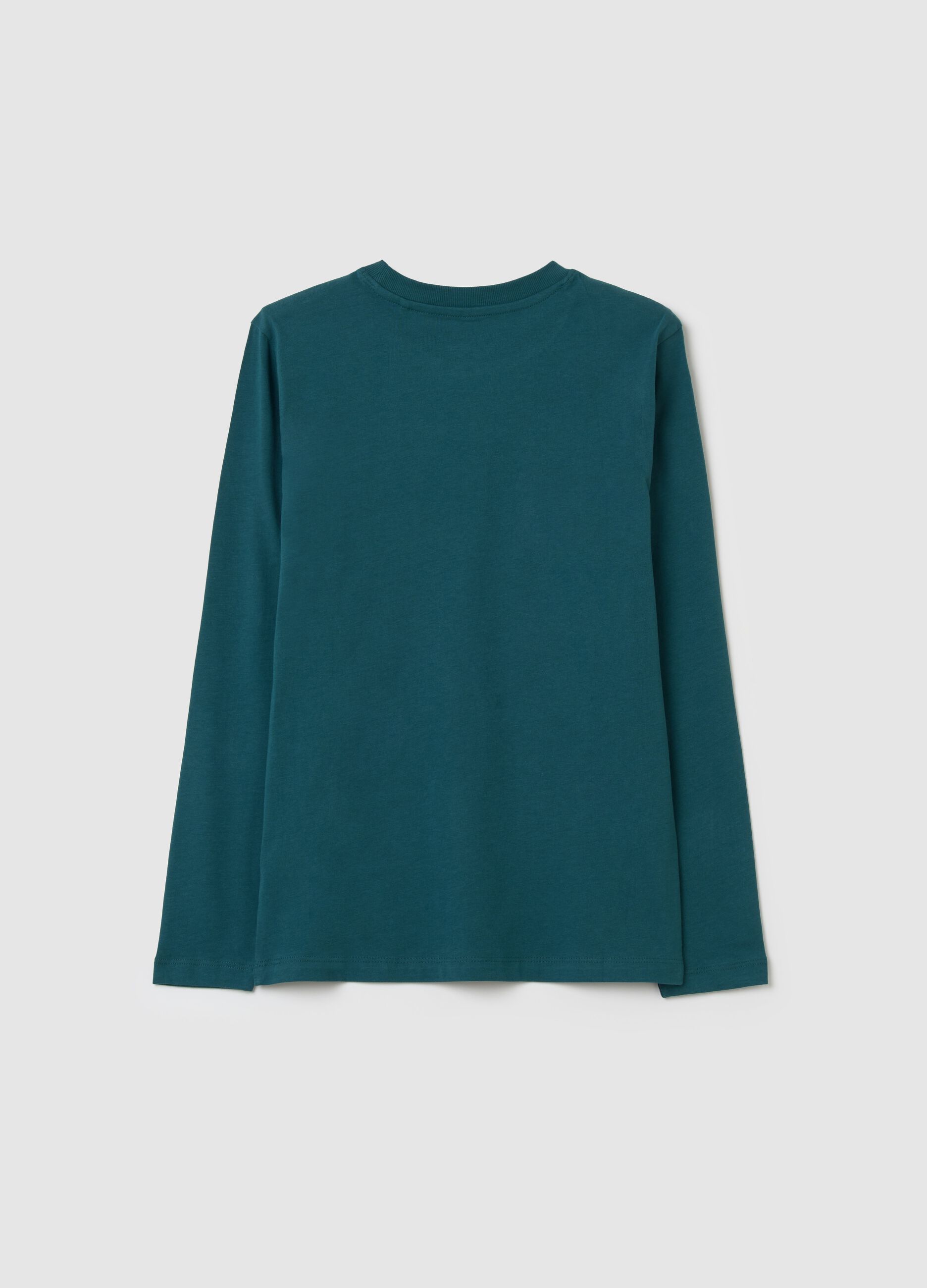 Long-sleeved T-shirt in cotton with print