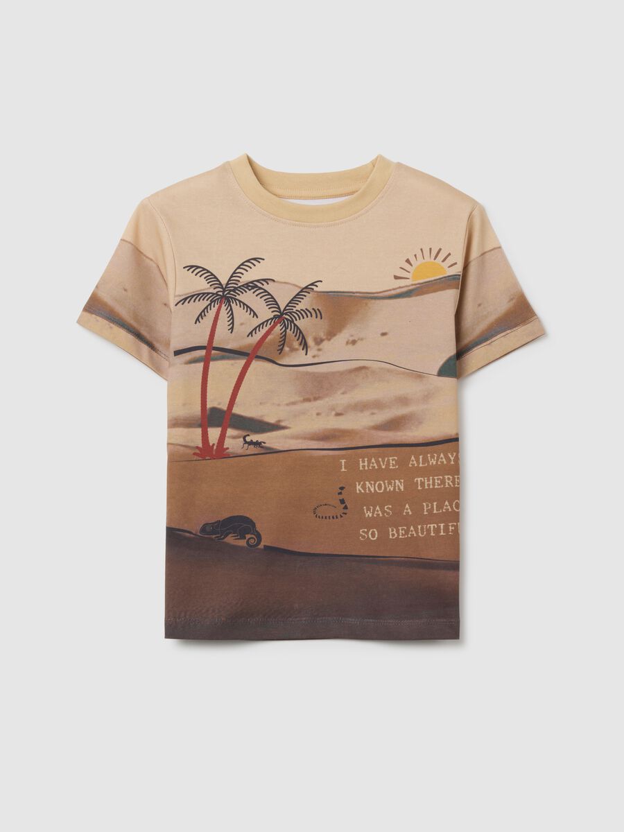 Multicoloured pure cotton regular fit children's t-shirt with print_0
