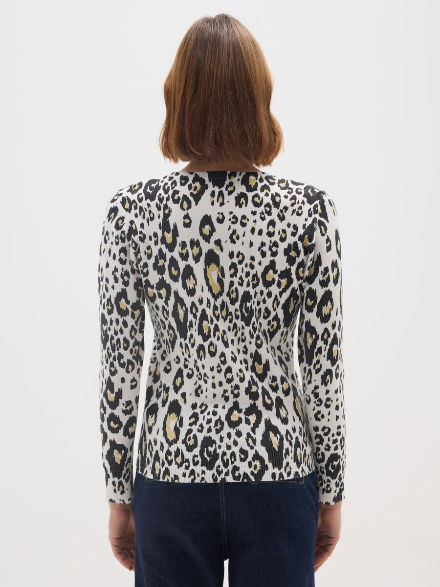 Multicolour Regular Fit Jumper_2