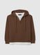 Brown Cotton Blend Sweatshirt Regular Fit_5