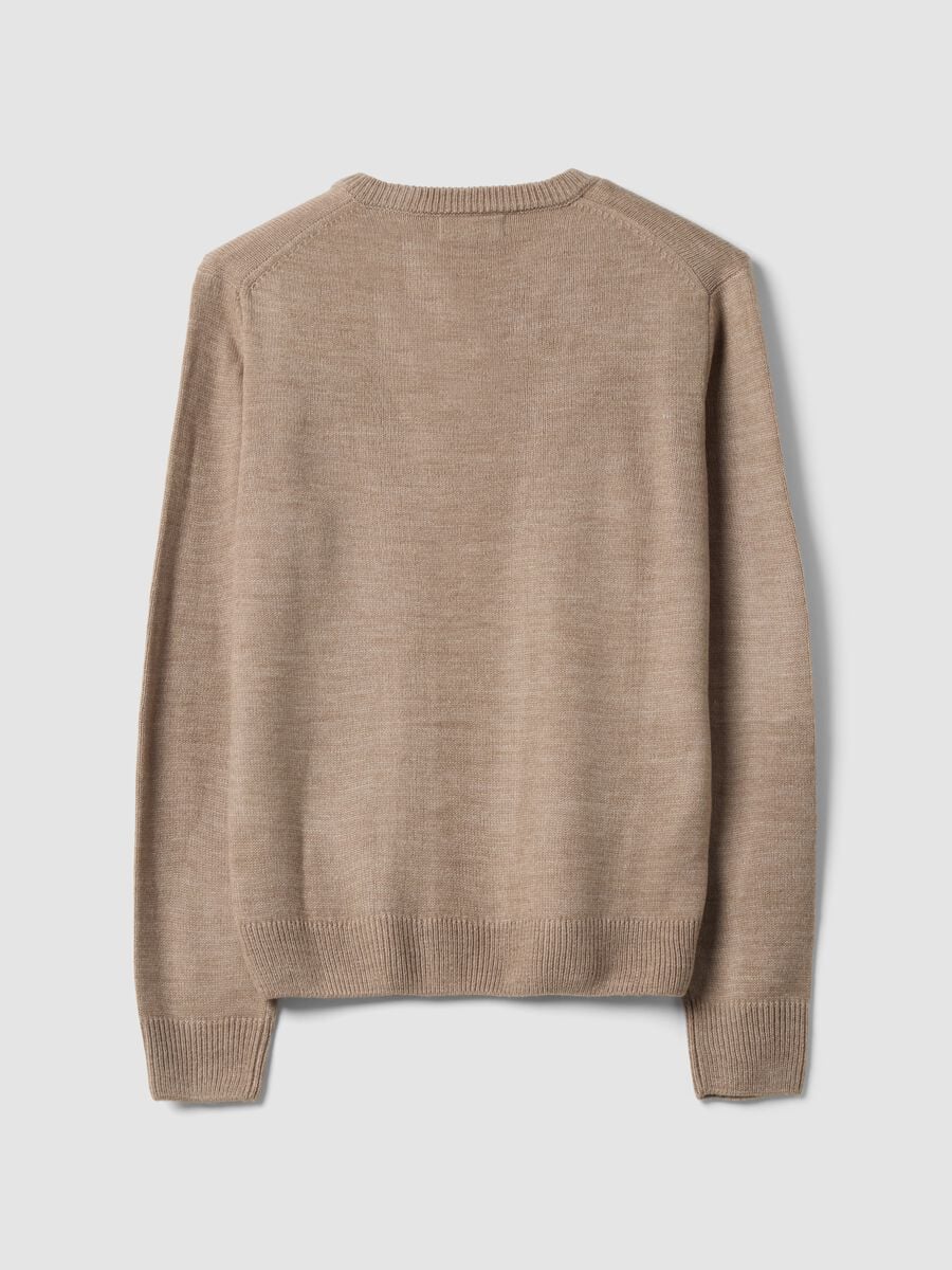 Brown V-neck jumper, regular fit_2
