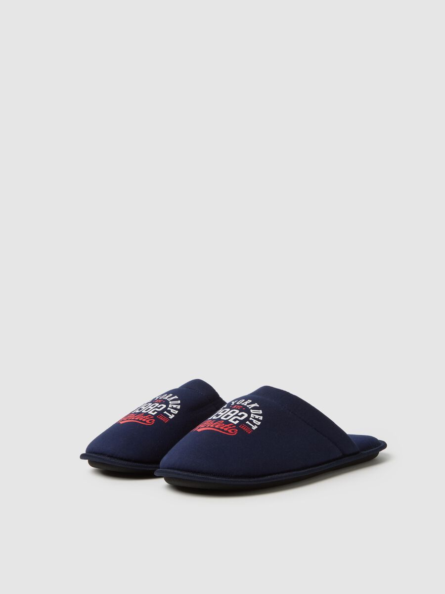 Blue Slippers_1