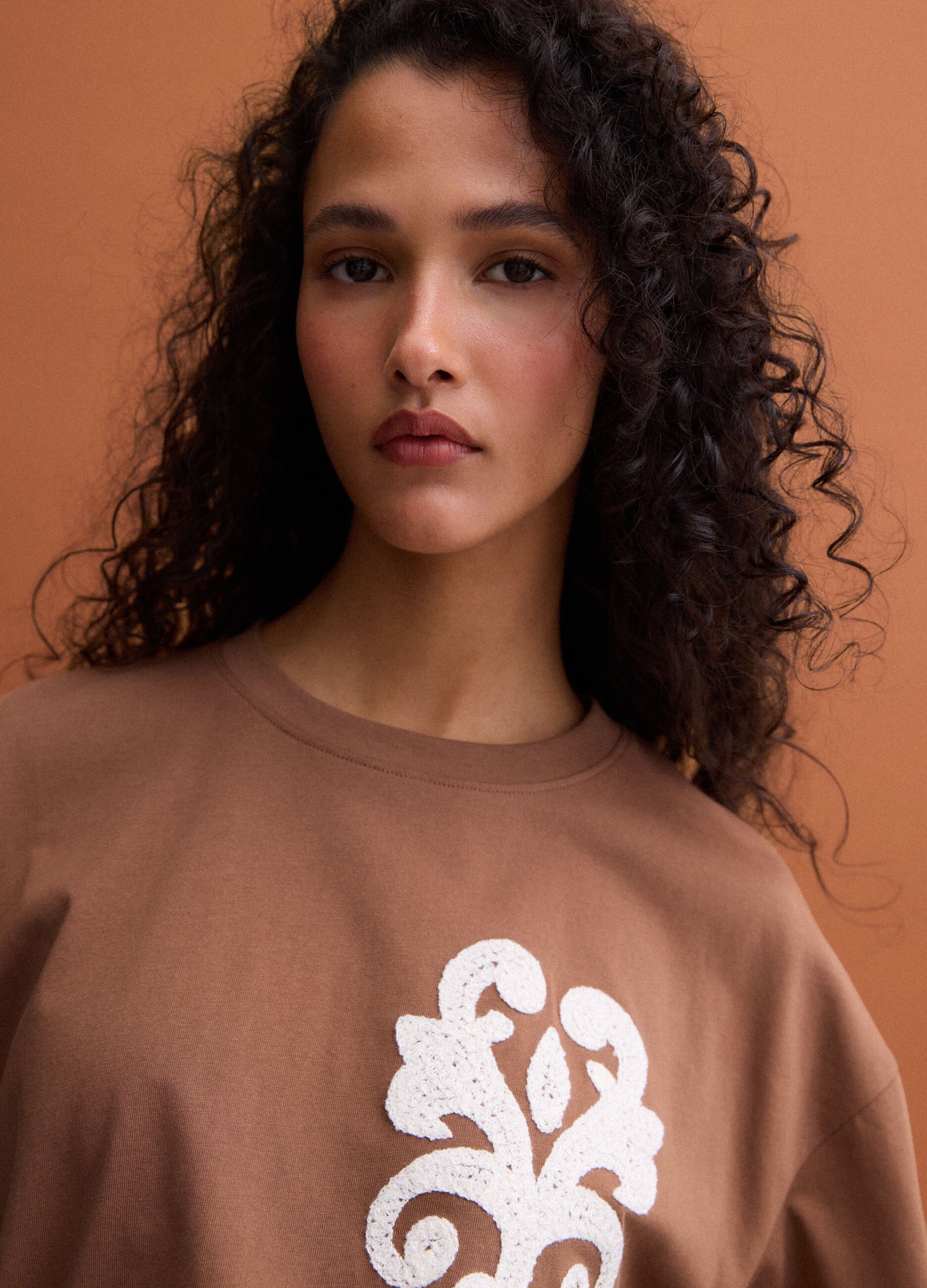 Brown pure cotton T-shirt with embroidery, regular fit