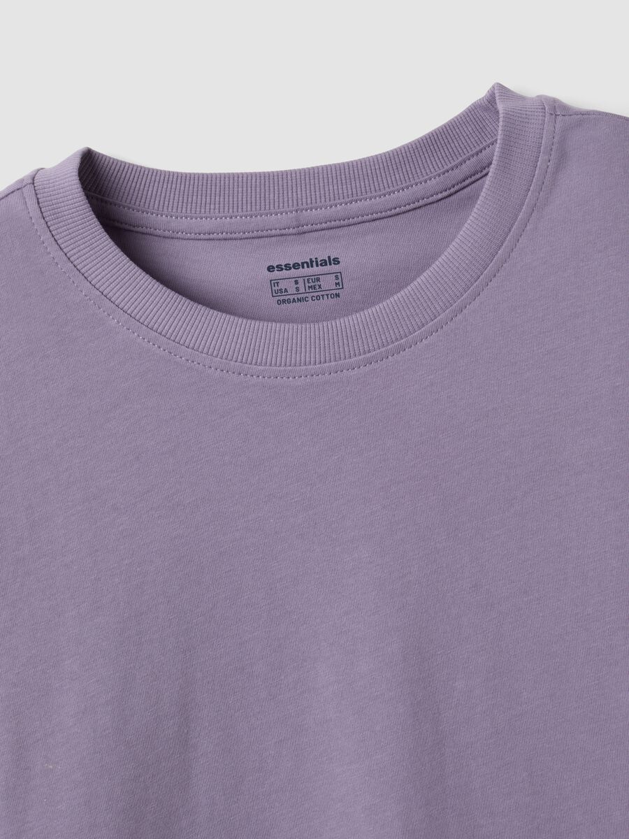 T-shirt viola in puro cotone organico a girocollo regular fit_5