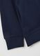 Children's Regular Fit Blue Cotton Hoodie_3