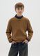 Boys' Brown Regular Fit Jumper_0