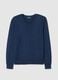 Regular Fit Blue Blend Jumper_4