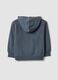 Grey pure cotton hoodie_1
