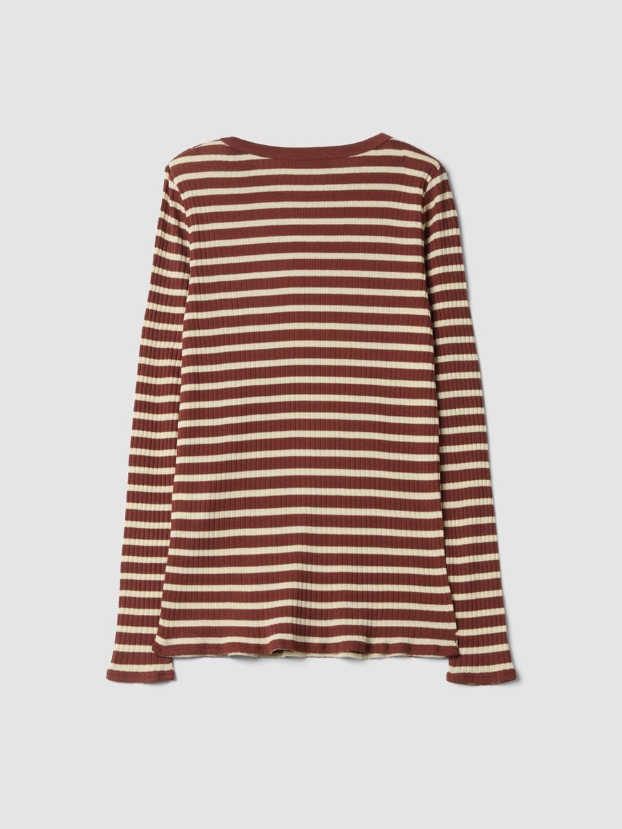 T-shirt marrone a righe in puro cotone a coste regular fit_2