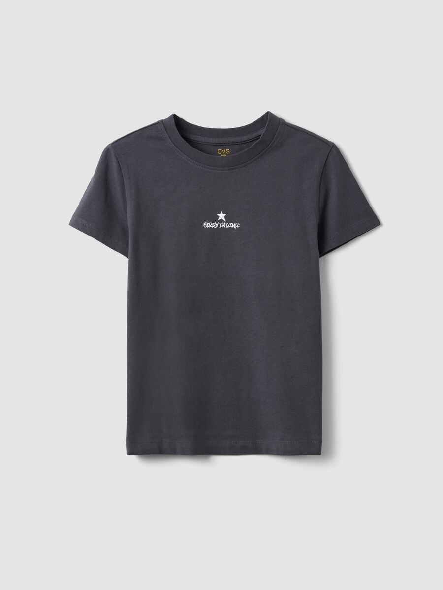 Grey pure organic cotton T-shirt with front and back print for girls_0