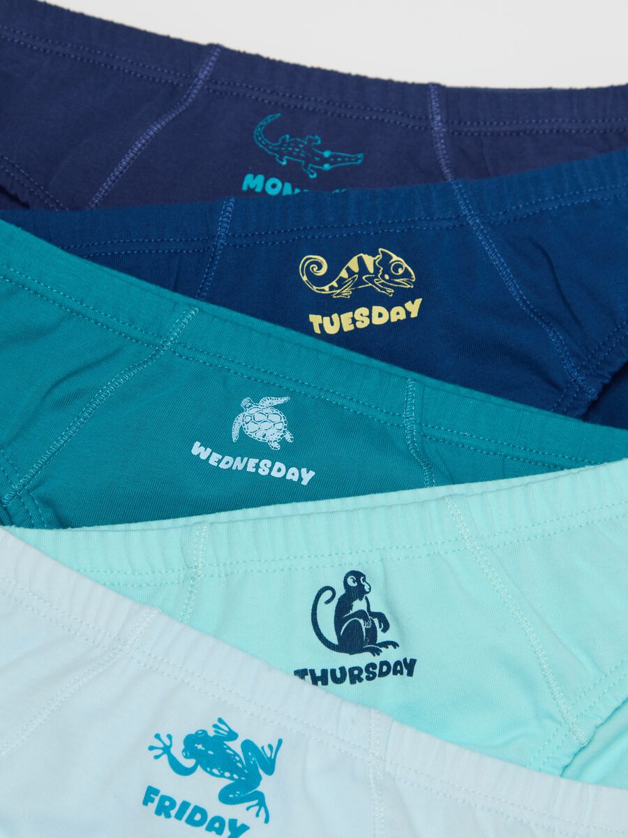 Set of Coloured Cotton Briefs for Boys_2