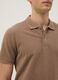 Brown pure cotton short-sleeve regular fit polo_3