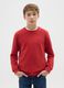 Boy's Red Cotton Crew Neck Sweatshirt in Regular Fit_0