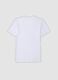 2-pack of white organic cotton T-shirts with deep V-neck_6