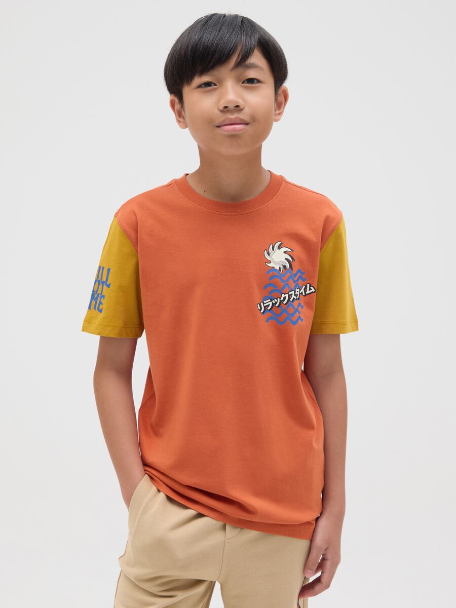Boy's multicolour pure cotton regular fit T-shirt_0
