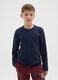 Boys' Blue Cotton Jumper Regular Fit_0