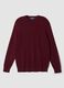 Burgundy viscose-blend crew-neck jumper, regular fit_0