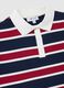 Multicolour pure cotton oversized striped polo_5