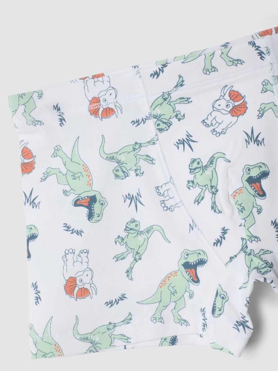 Five-pack of green and white stretch organic cotton boxers_2