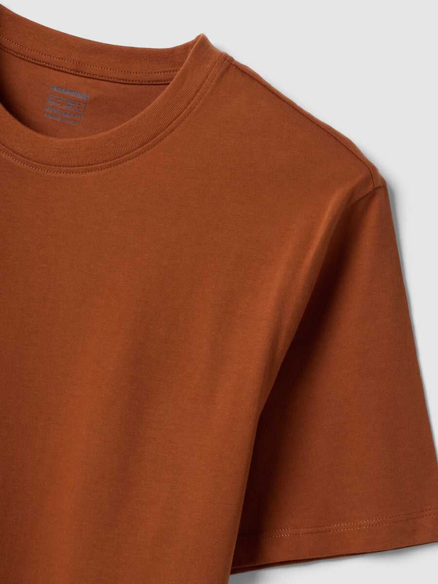 T-shirt marrone in puro cotone organico jersey regular fit_5