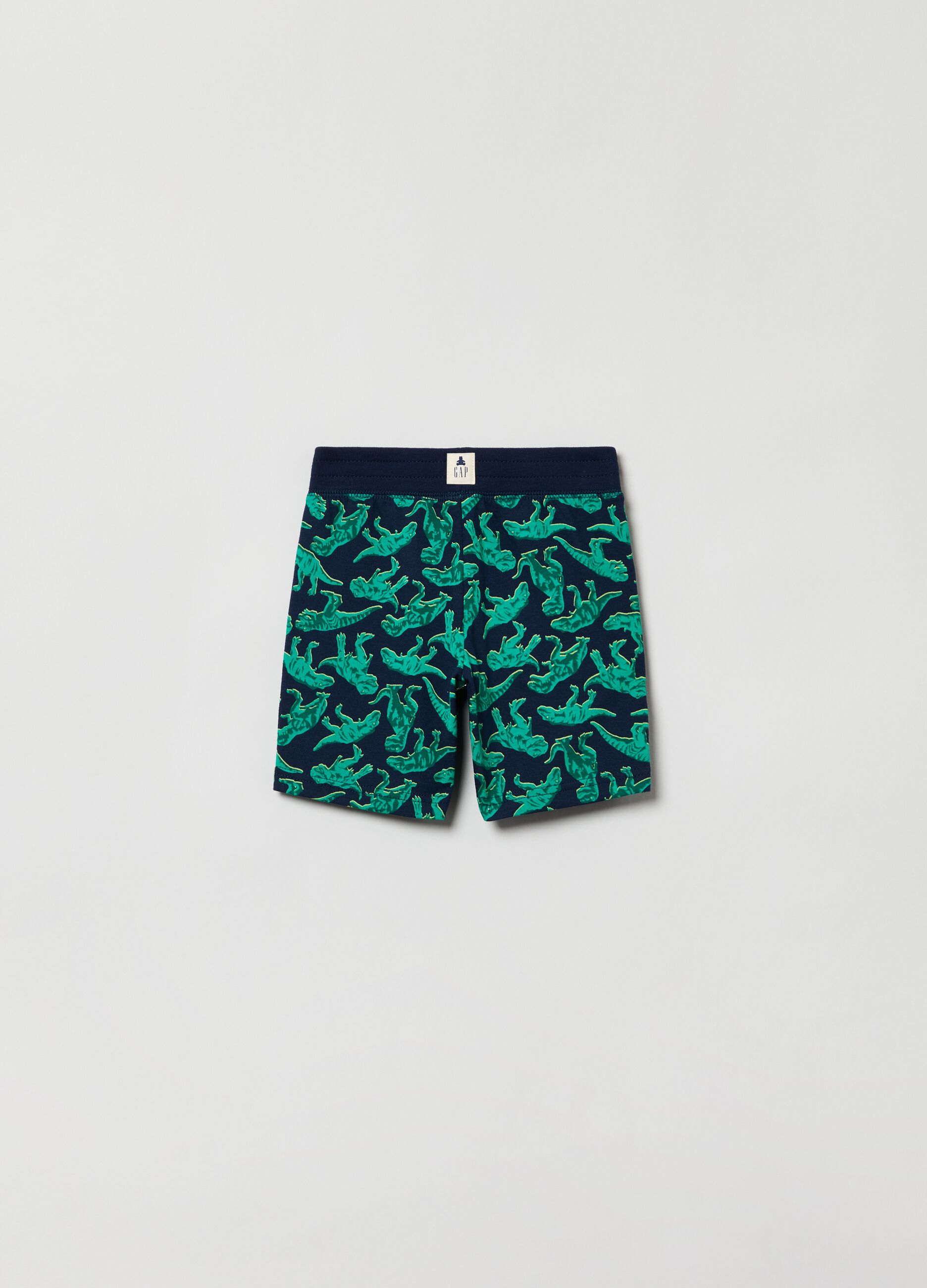 Shorts with dinosaurs print