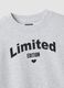 Grey organic cotton sweatshirt with front print for girls_5