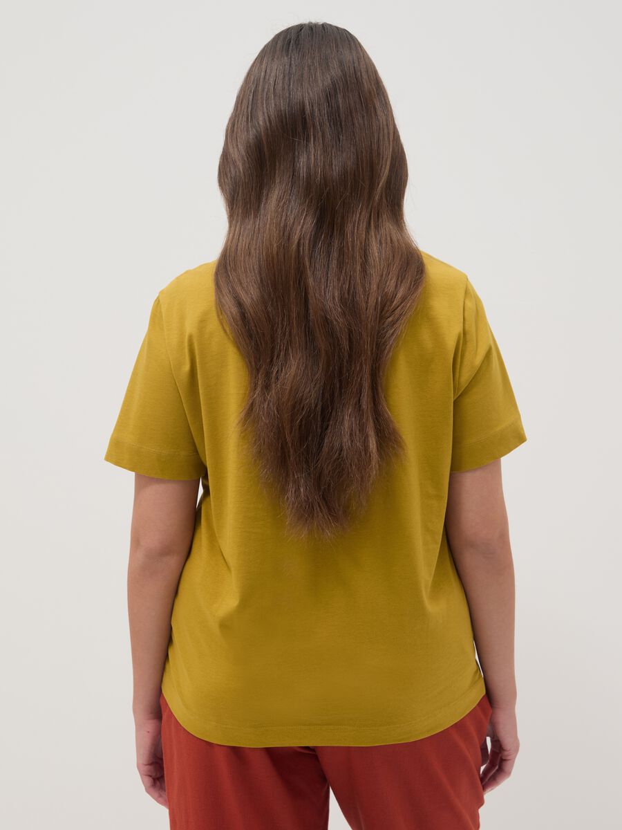 Yellow pure cotton regular fit T-shirt with floral embroidery_3
