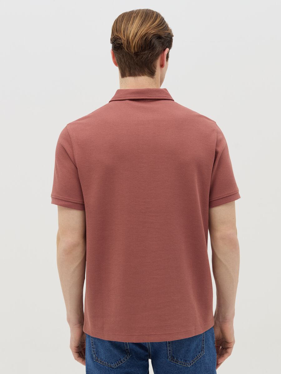 Regular fit polo shirt in jersey_3