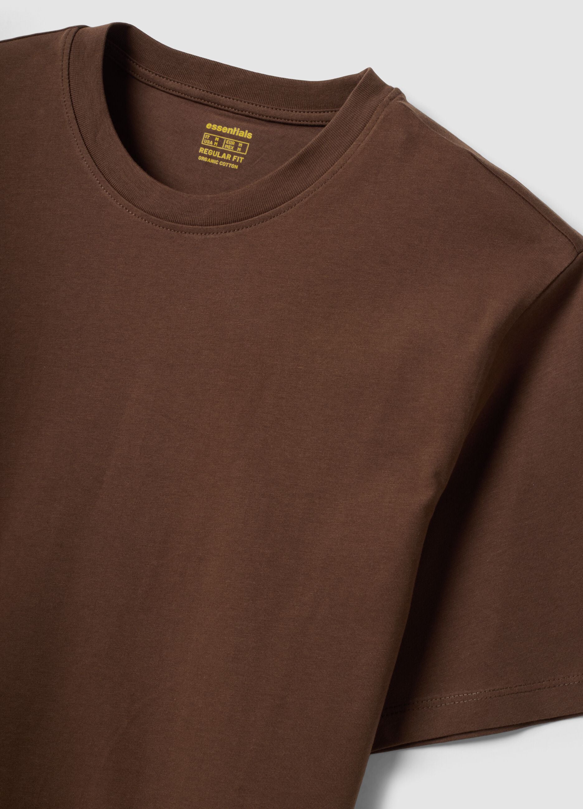 T-shirt marrone in puro cotone organico jersey regular fit