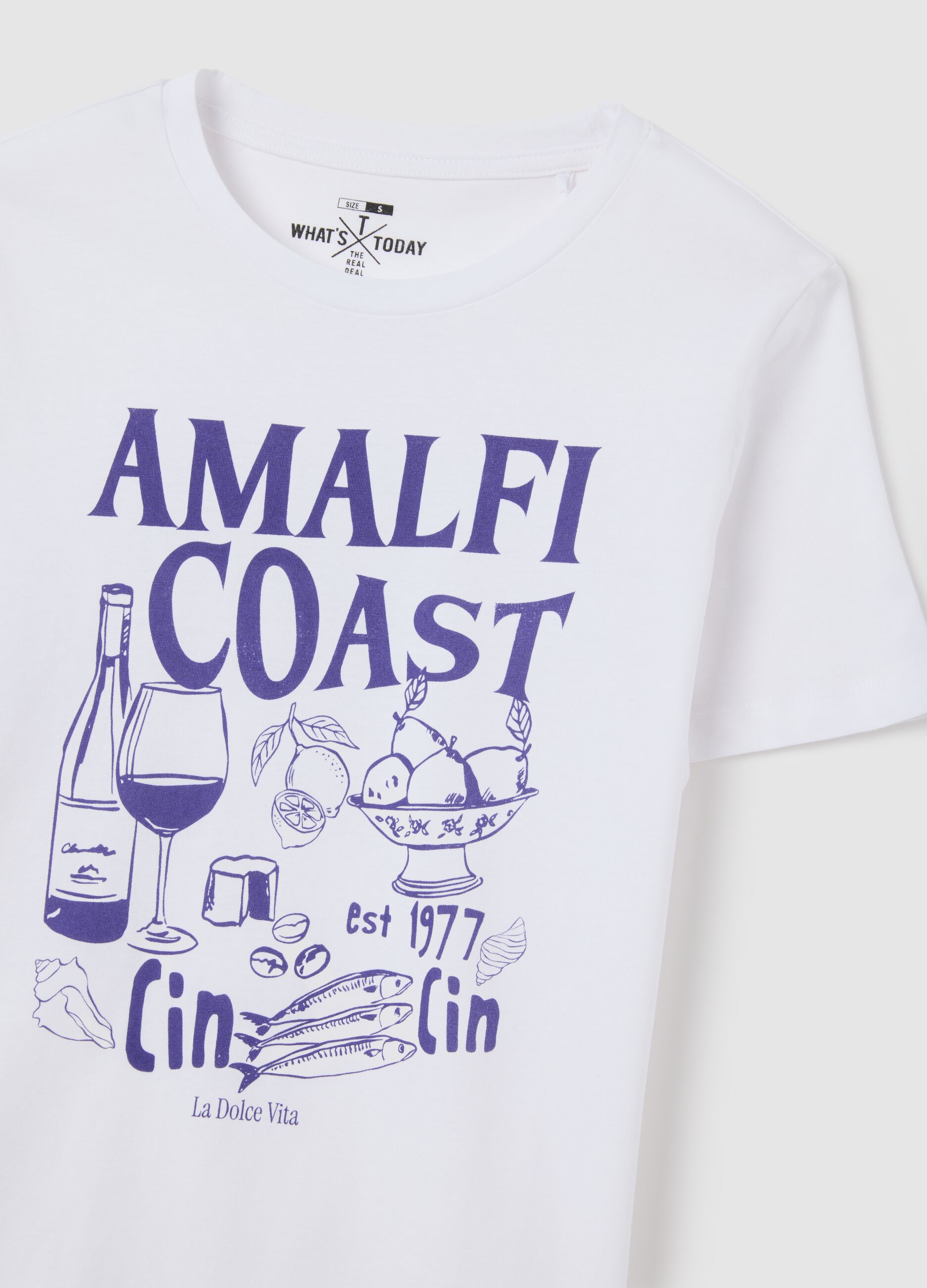 White regular fit pure cotton T-shirt