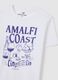 White regular fit pure cotton T-shirt_5