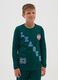 Boys' pure cotton green regular fit jumper_0