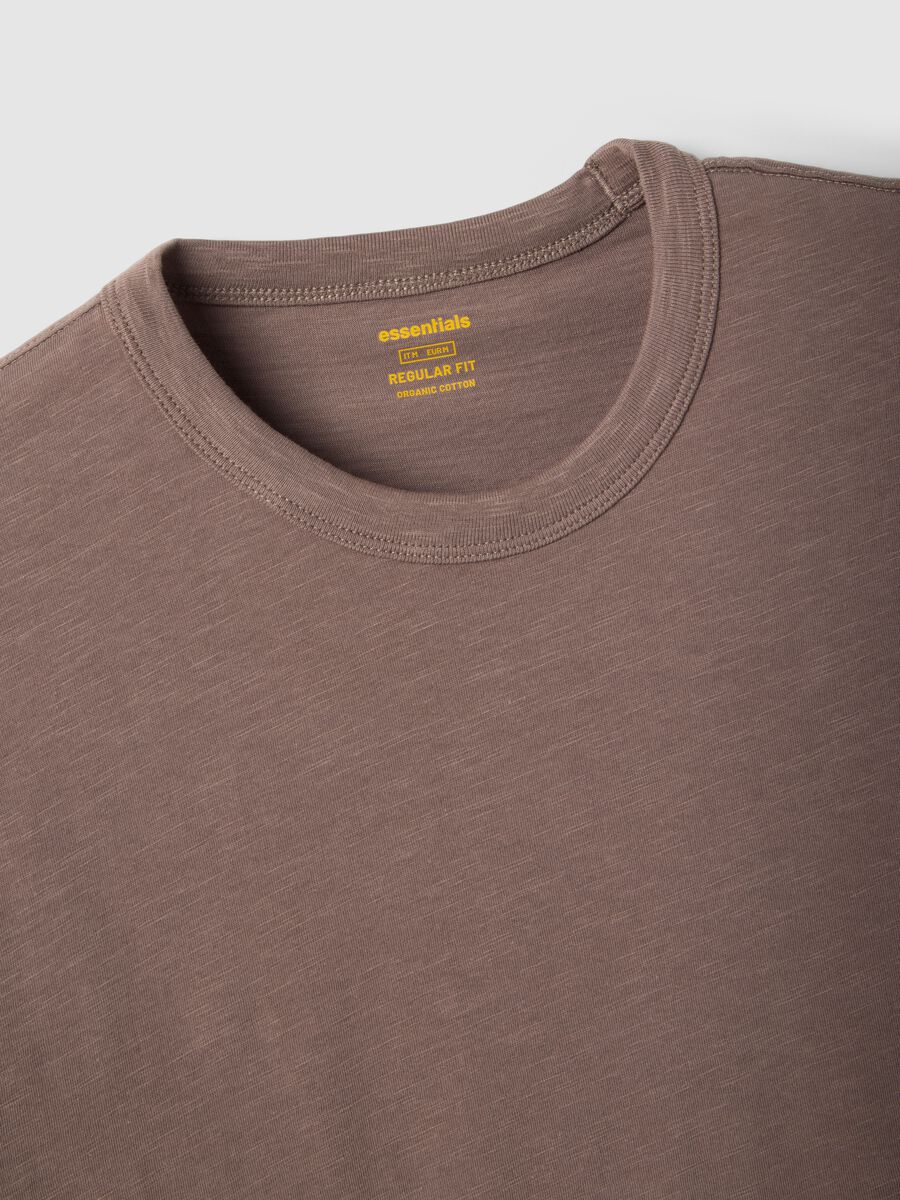 Brown pure cotton short sleeve regular fit T-shirt_5