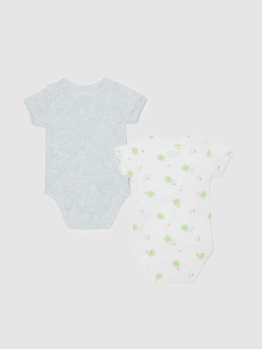 Two-pack organic cotton bodysuits with print_1