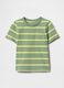 Green Striped T-Shirt_0