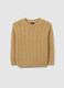 Beige pure cotton regular fit children's jumper_3