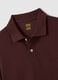 Men's Brown Pure Cotton Regular Fit Polo_5