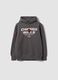 Grey cotton-blend hooded sweatshirt with Chicago Bulls print for boys_0