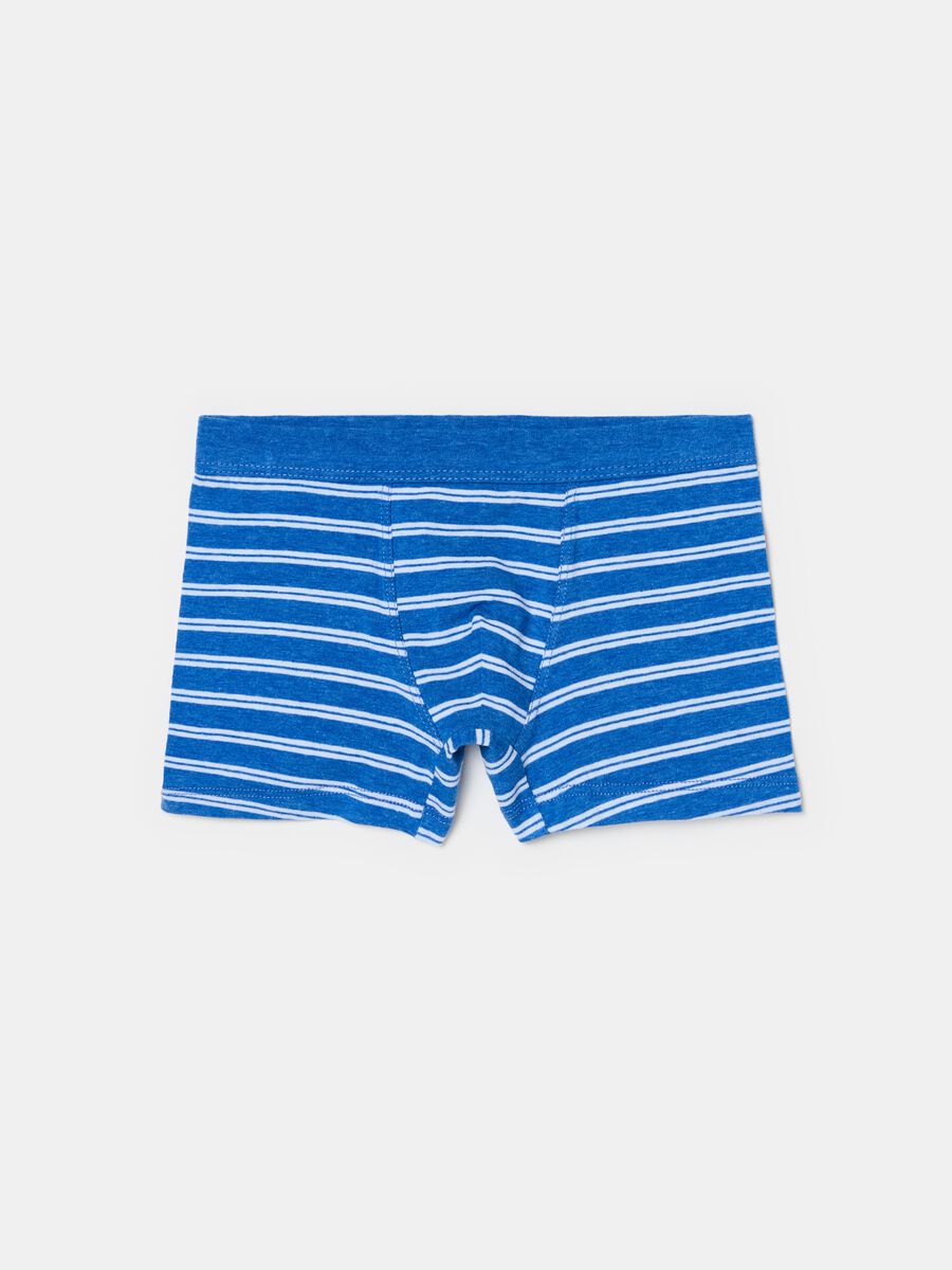 Organic cotton boxer shorts with striped pattern_0