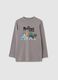 Grey regular fit cotton children's t-shirt with print_0