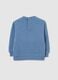 Blue embroidered children's sweatshirt_1